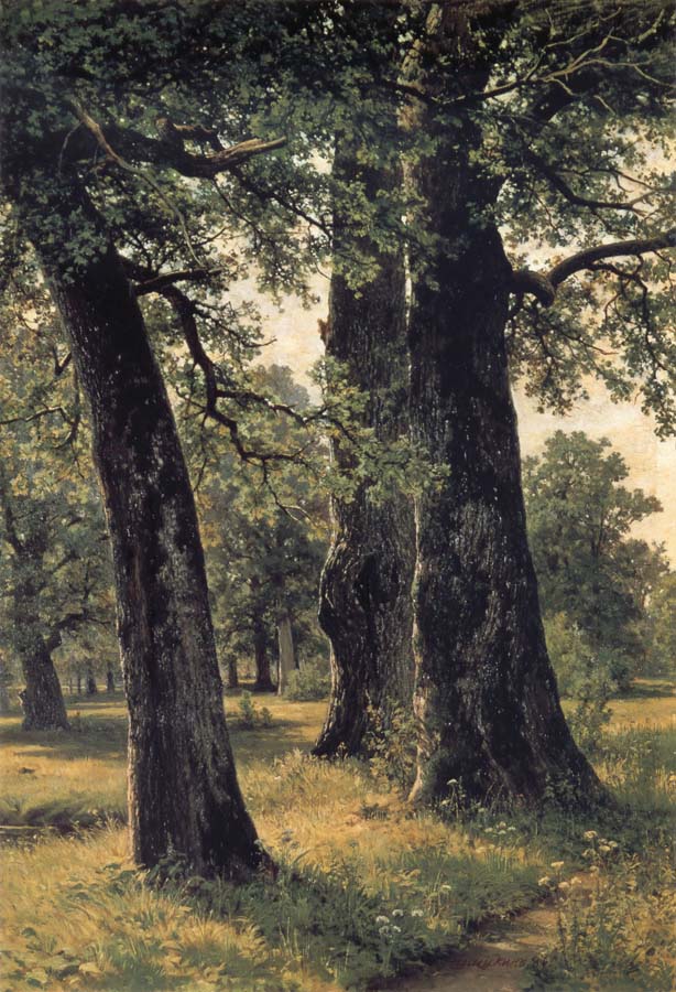 Oak